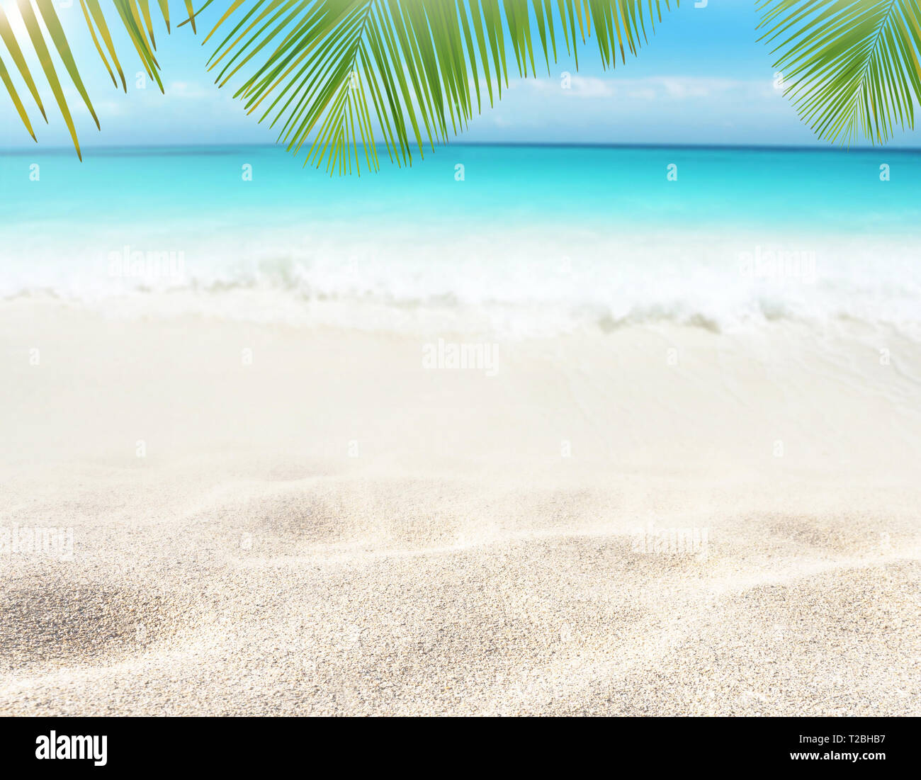 Coconut palm leaves hanging over the sandy beach. Tropical island paradise. Bright turquoise ocean water. Sandy shore washing by the wave. Dreams summ Stock Photo