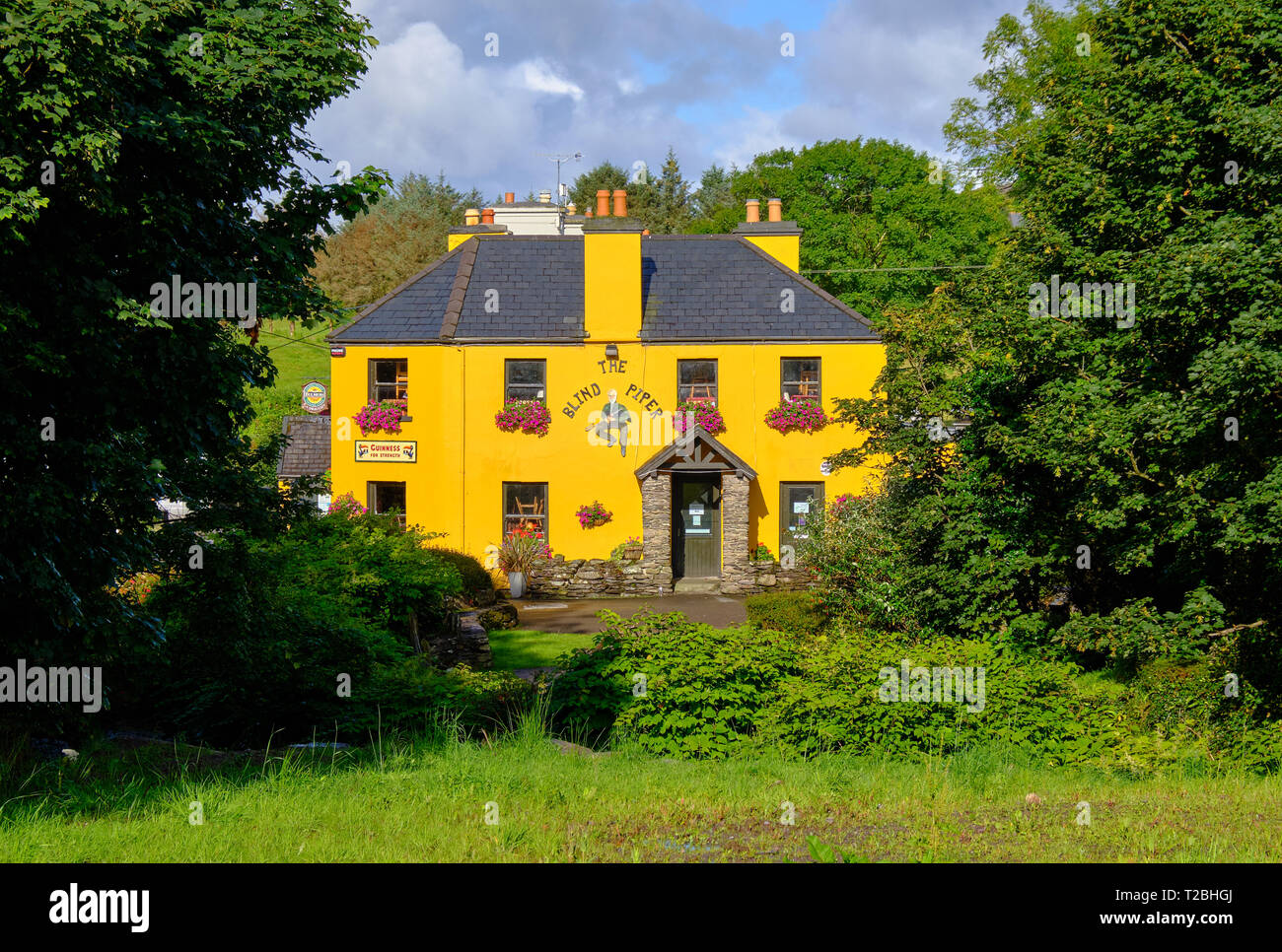 The Blind Piper, a yellow typical Irish pub in County Kerry on a sunny day, framed by green trees. Caherdaniel, Ireland, Stock Photo