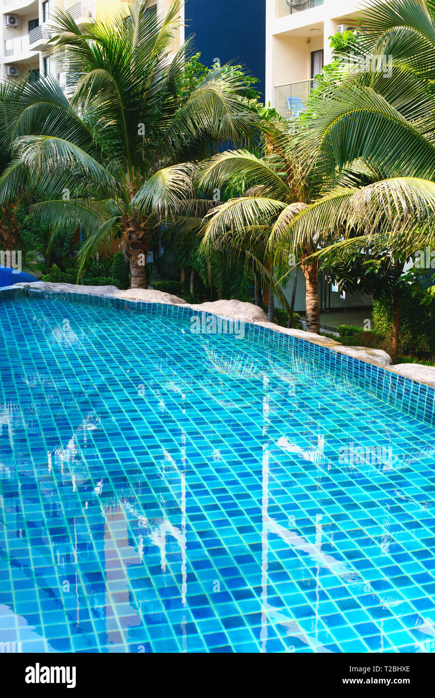 Swimming pool with green palm trees in the background Stock Photo - Alamy