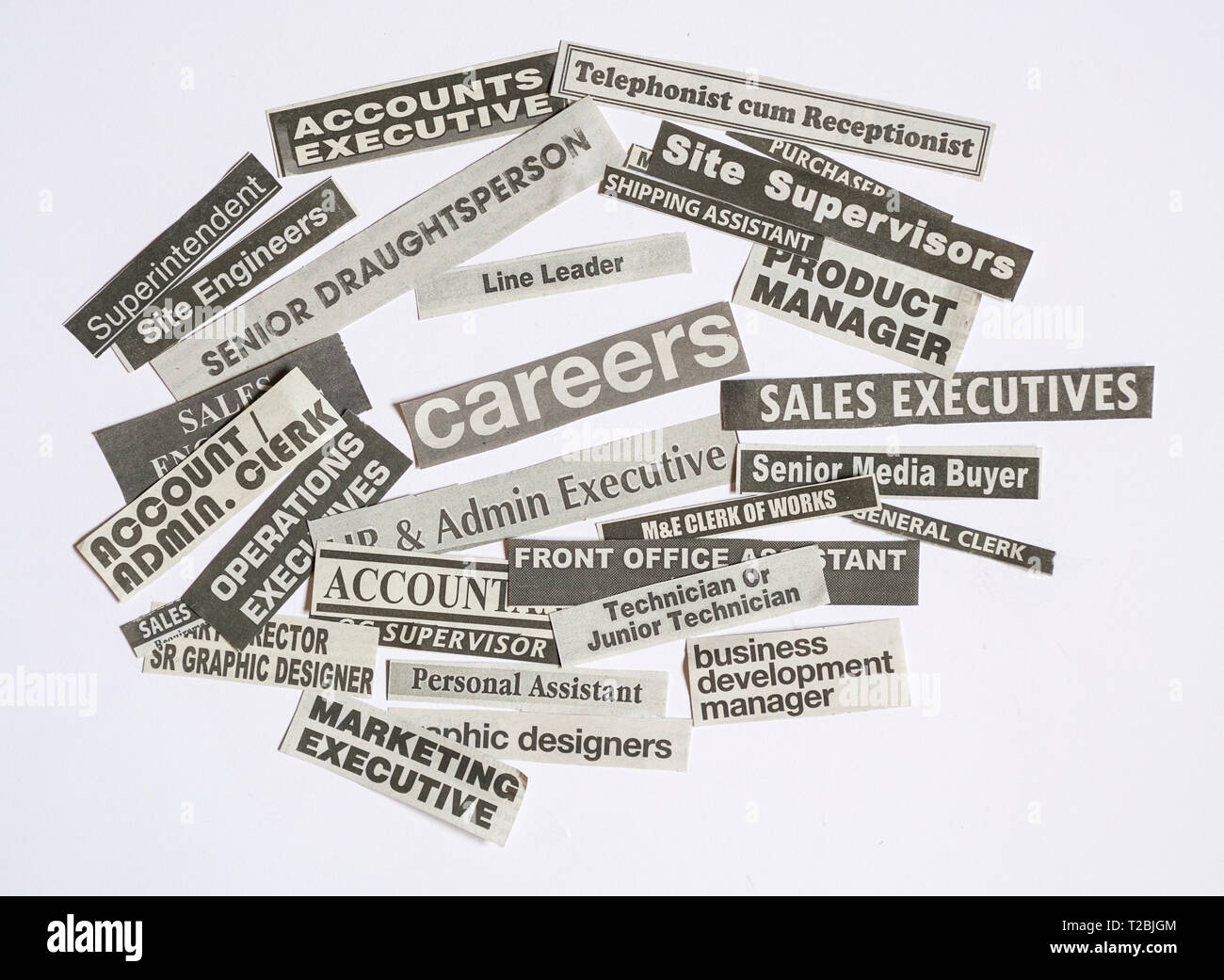 jobs or careers concept job titles or occupations cut off job occupations