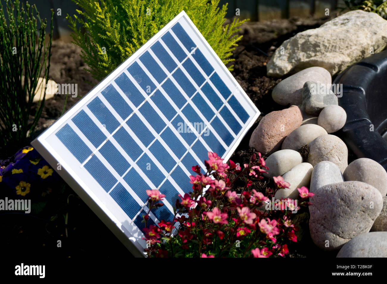 A solar panel is pictured powering a garden pond pump at a residential