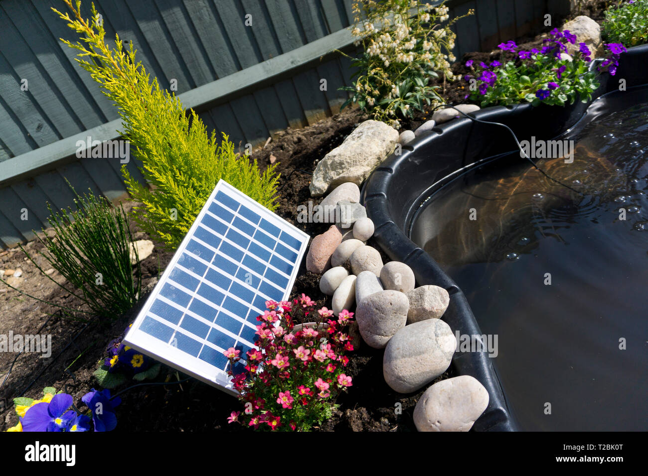A solar panel is pictured powering a garden pond pump at a residential