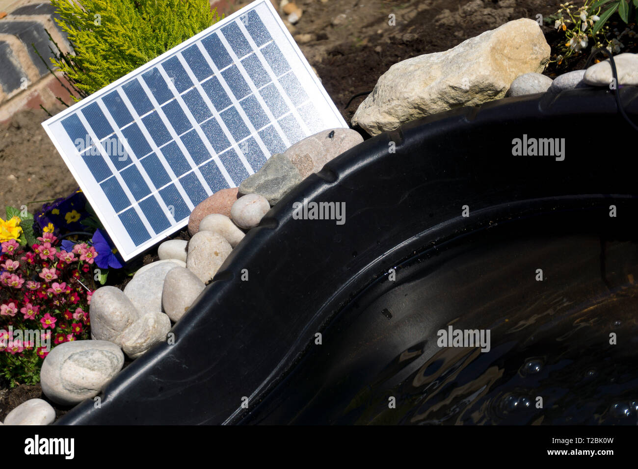 A solar panel is pictured powering a garden pond pump at a residential