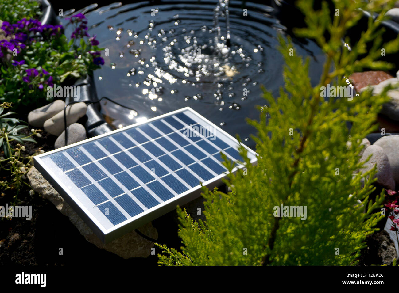 A solar panel is pictured powering a garden pond pump at a residential