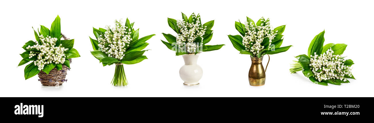 Spring Lily Of The Valley Flowers Vases With Colorful Lilly