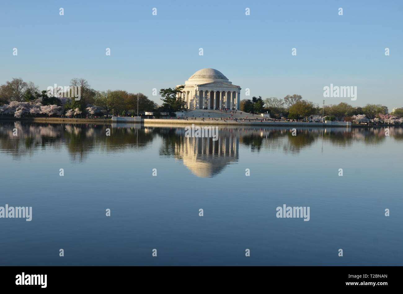 Cherry Blossom Festival. Washington, DC, USA Stock Photo Alamy