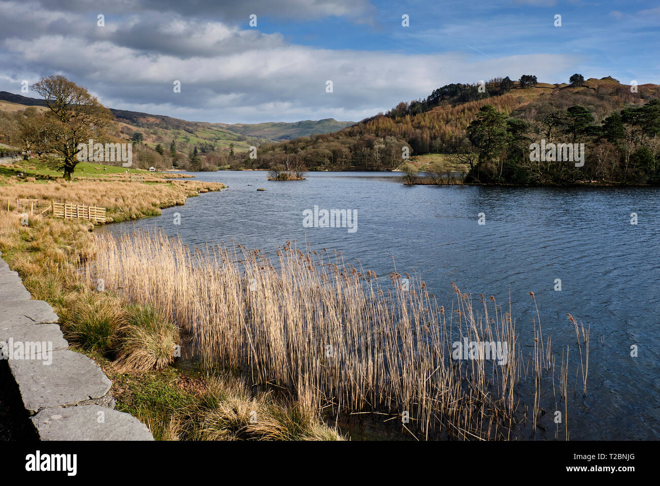 Rydal Water, Rydal, Lake District, Cumbria Stock Photo