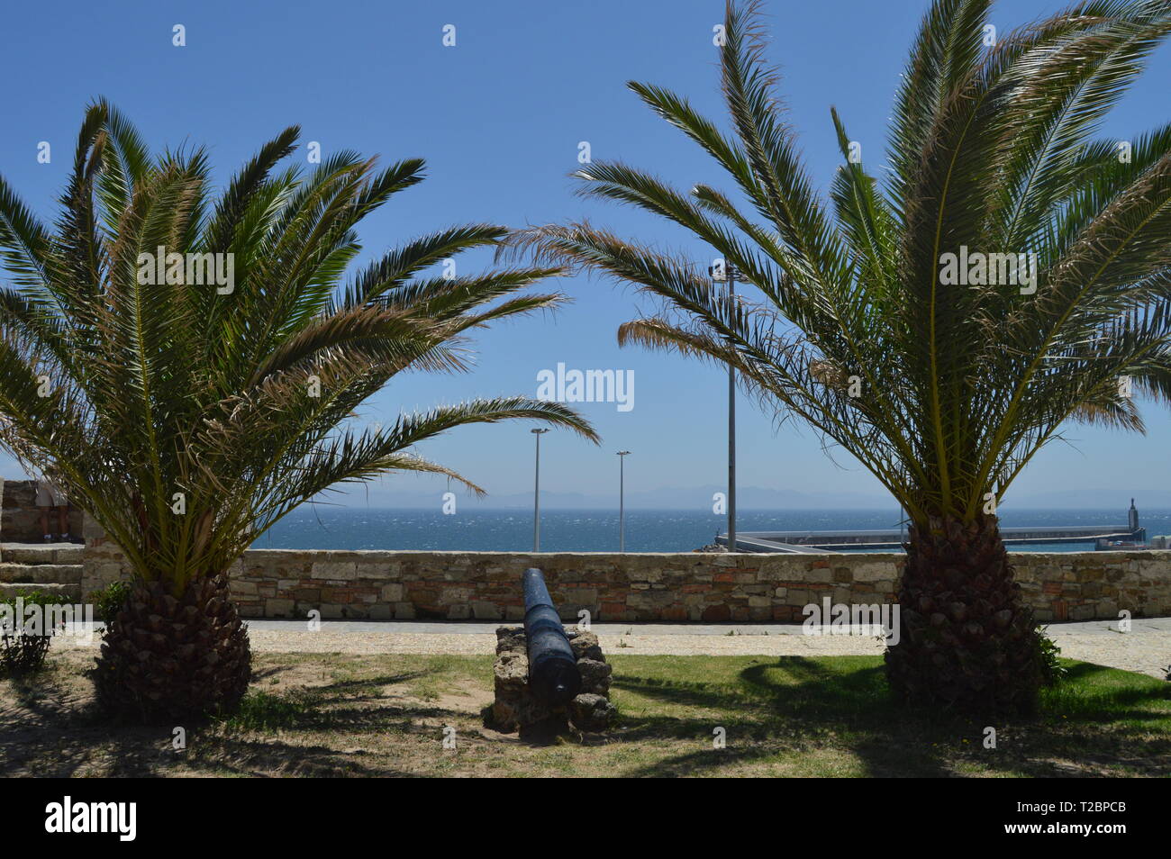 Holy Tip View From The Viewpoint Of Africa With A Cannon Between Two