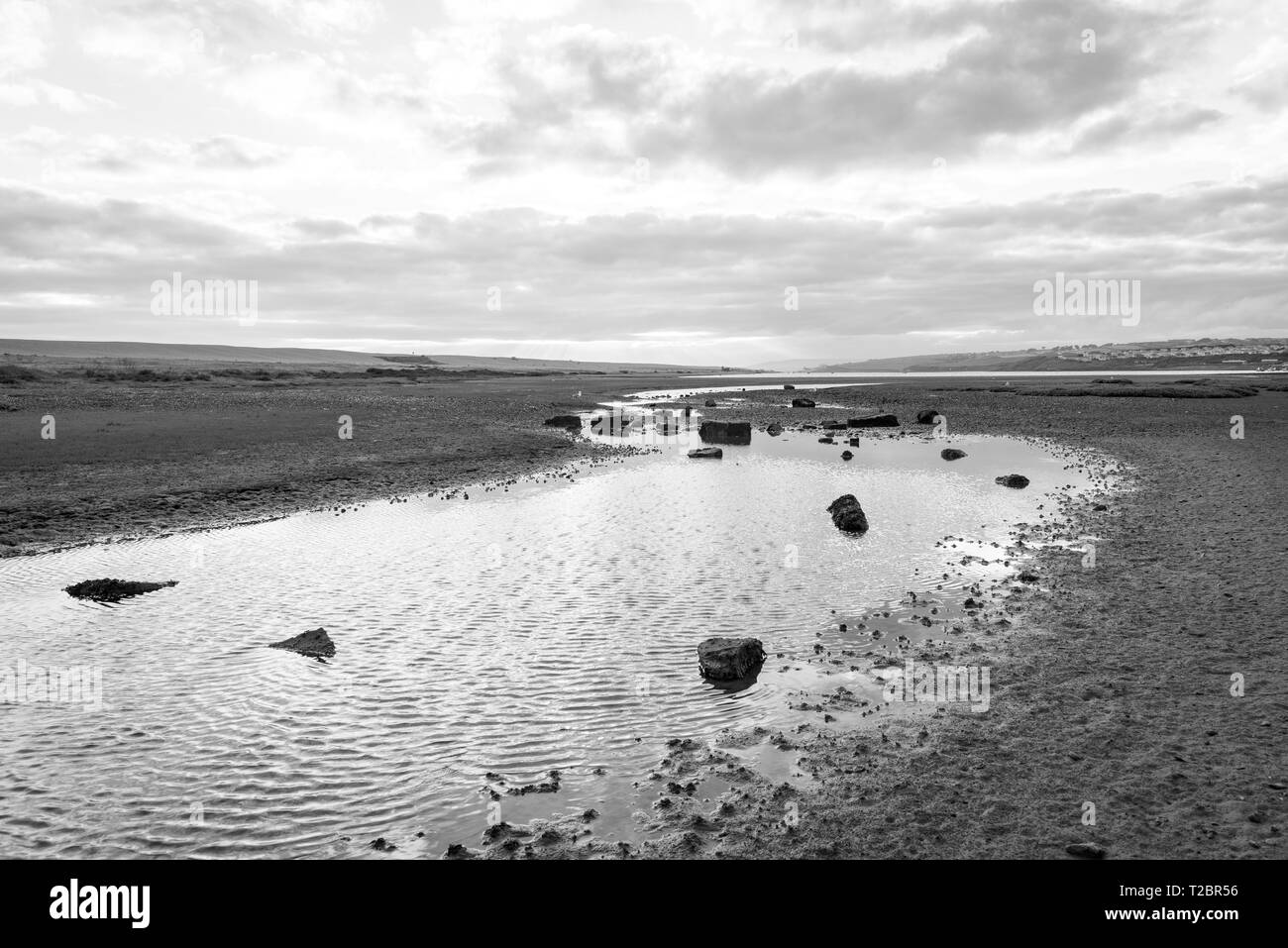 Large black and white mono hi-res stock photography and images - Alamy