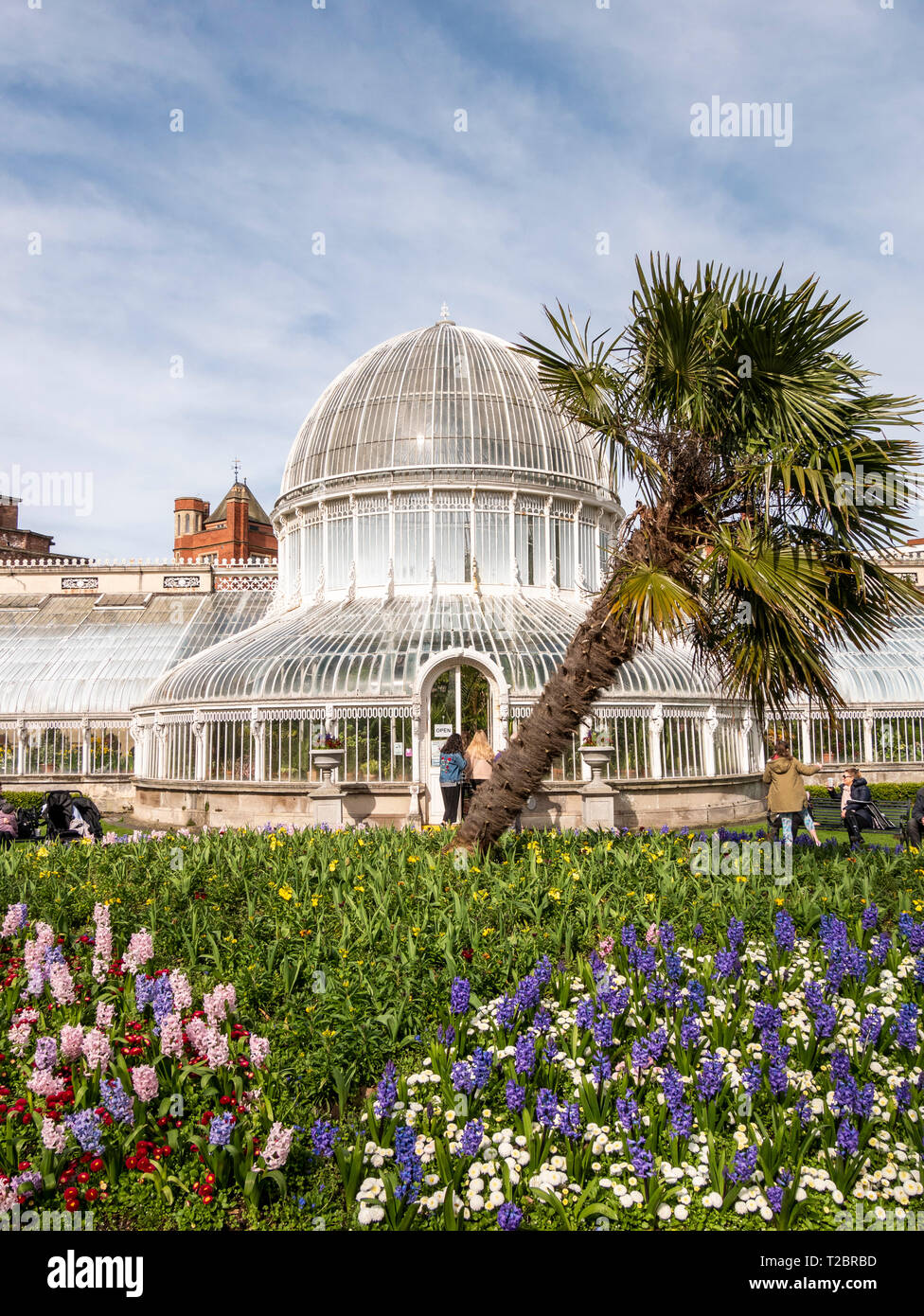Botanic Gardens Belfast High Resolution Stock Photography and Images ...