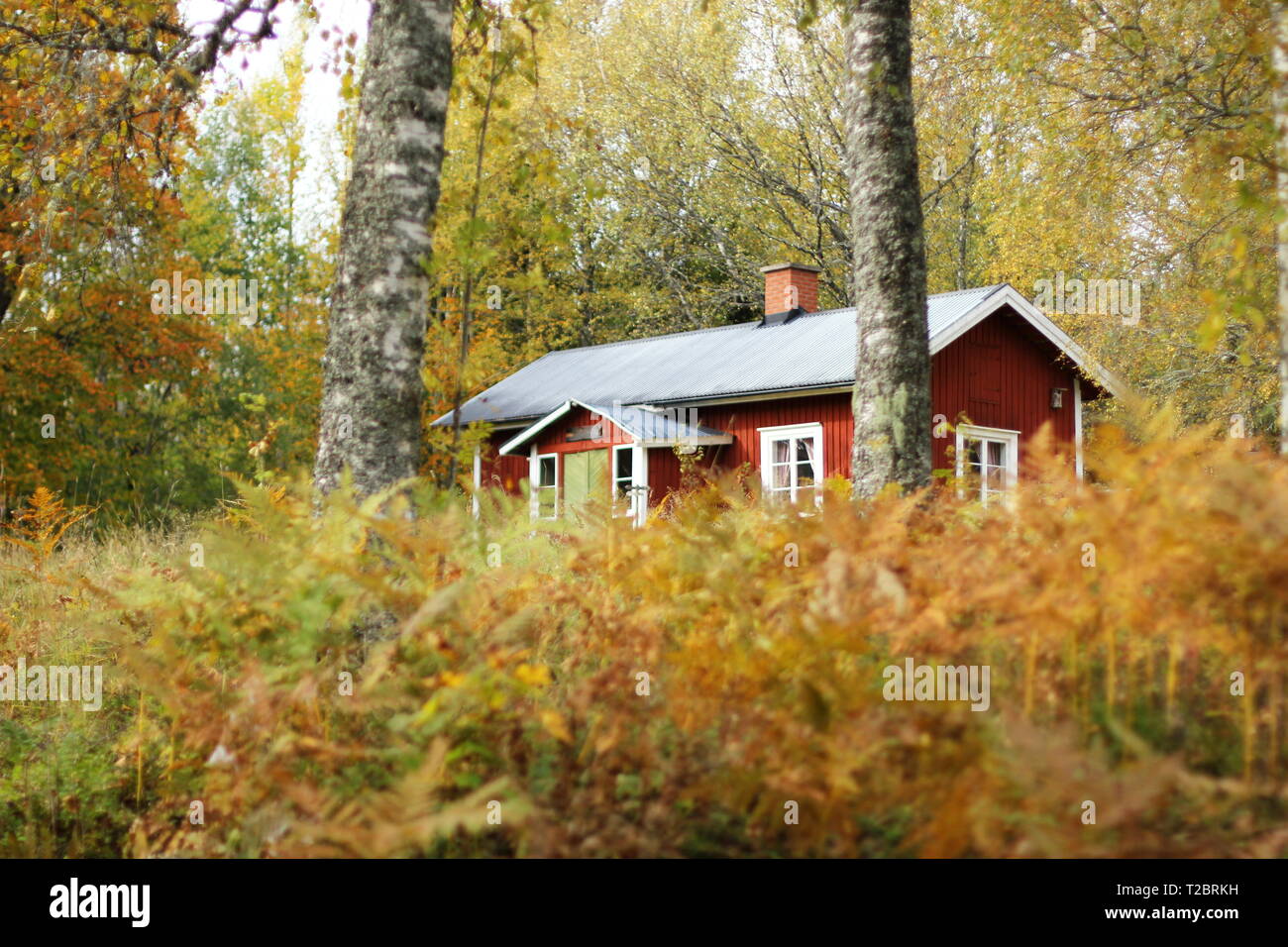 A red wooden house hi-res stock photography and images - Alamy