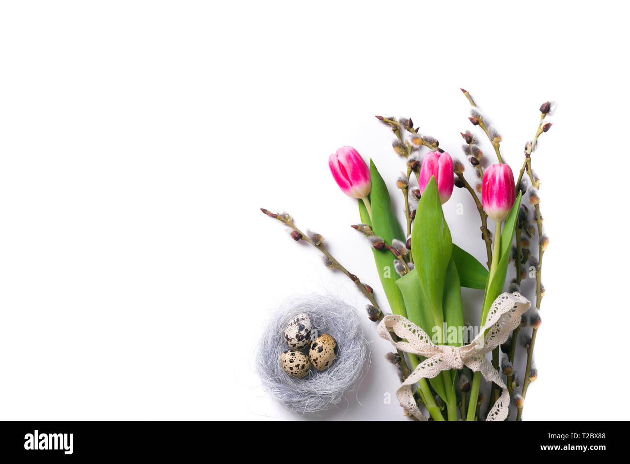 Easter isolated background with quail eggs in the nest and tulips with ...