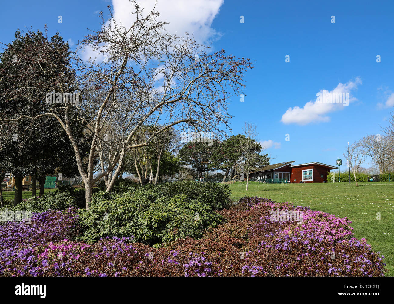 Devonport Park Plymouth, view over flower bed to the Pavilion Cafe