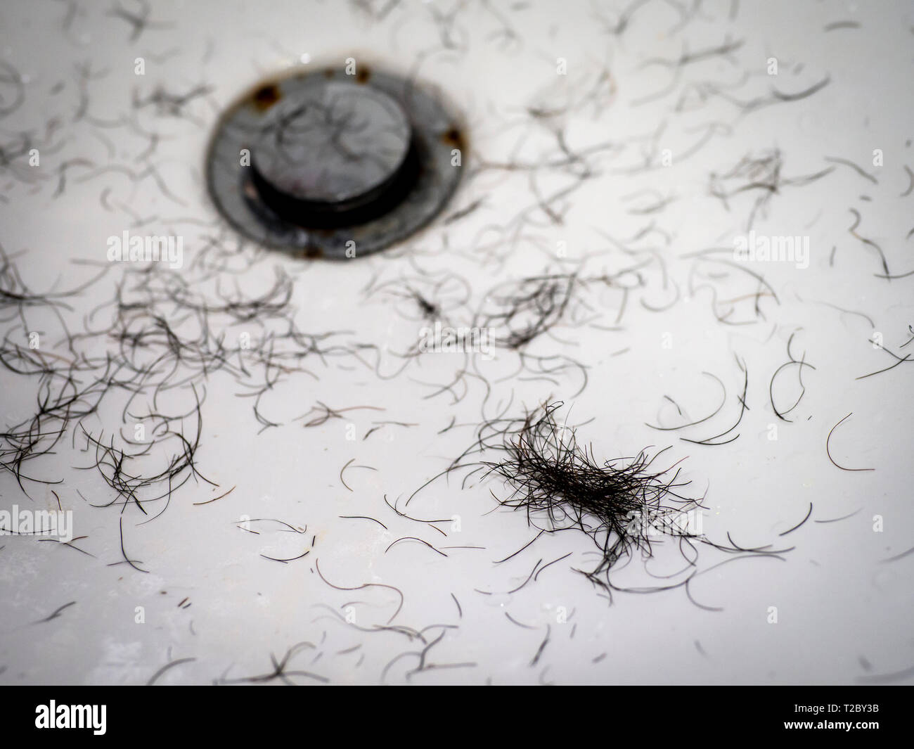 close up messy beard and mustache on white wash basin Stock Photo