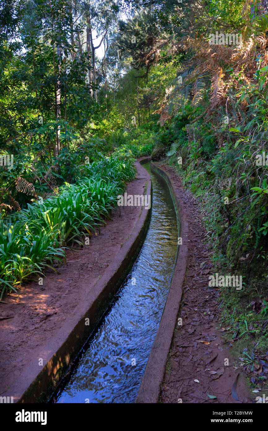 Laverda water channel and walkway Madeira,Portugal,Europe Stock Photo