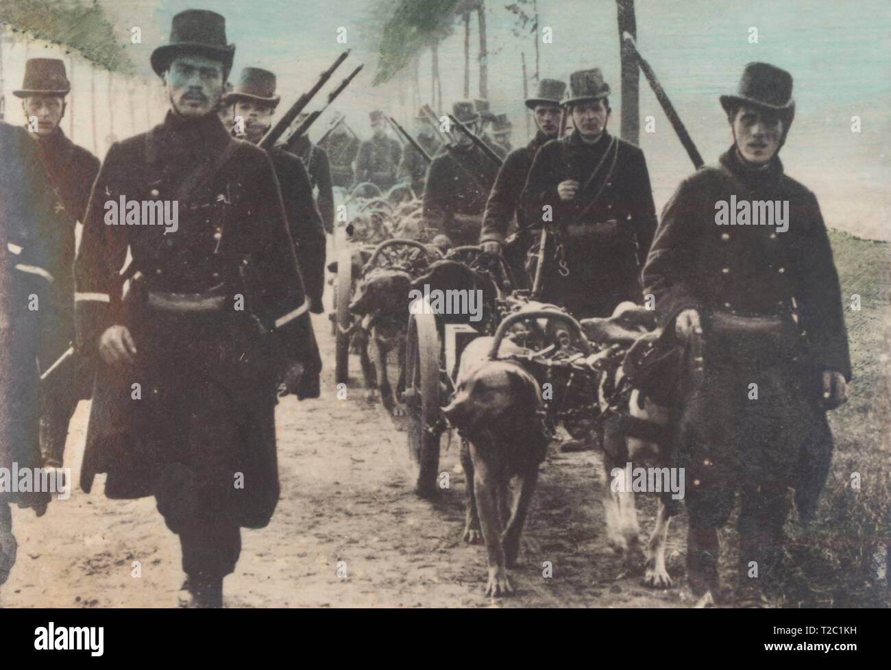 Primera guerra mundial (1914-1918). Ametralladoras belgas tiradas por perros. Stock Photo