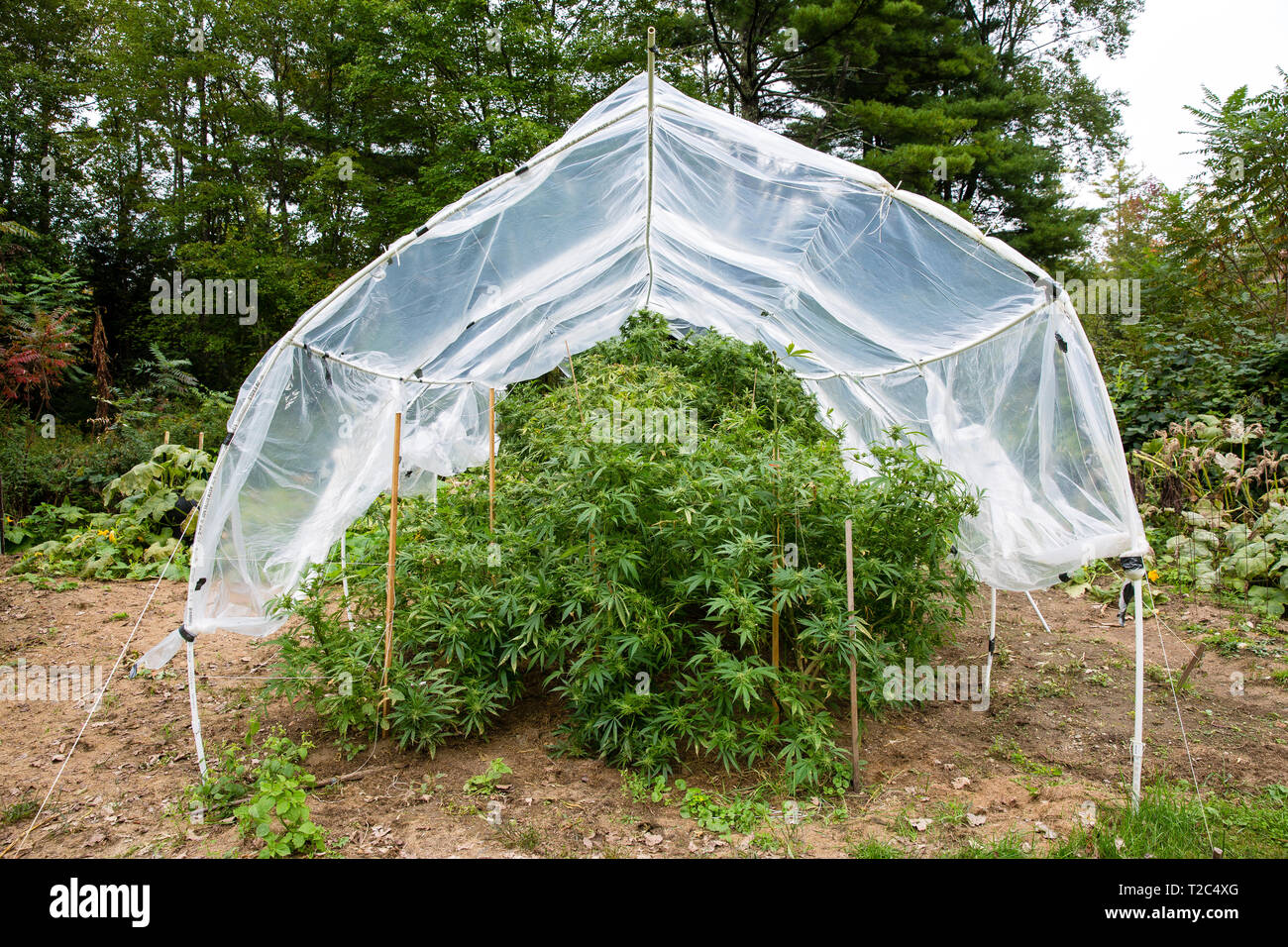 How To Protect Patio Garden From Too Much Rain