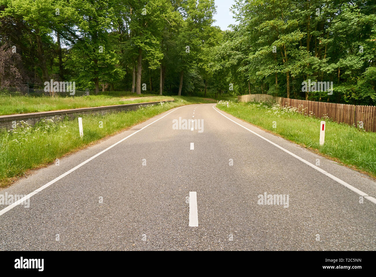 Empty two lane road leads through a green landscape in summer Stock Photo