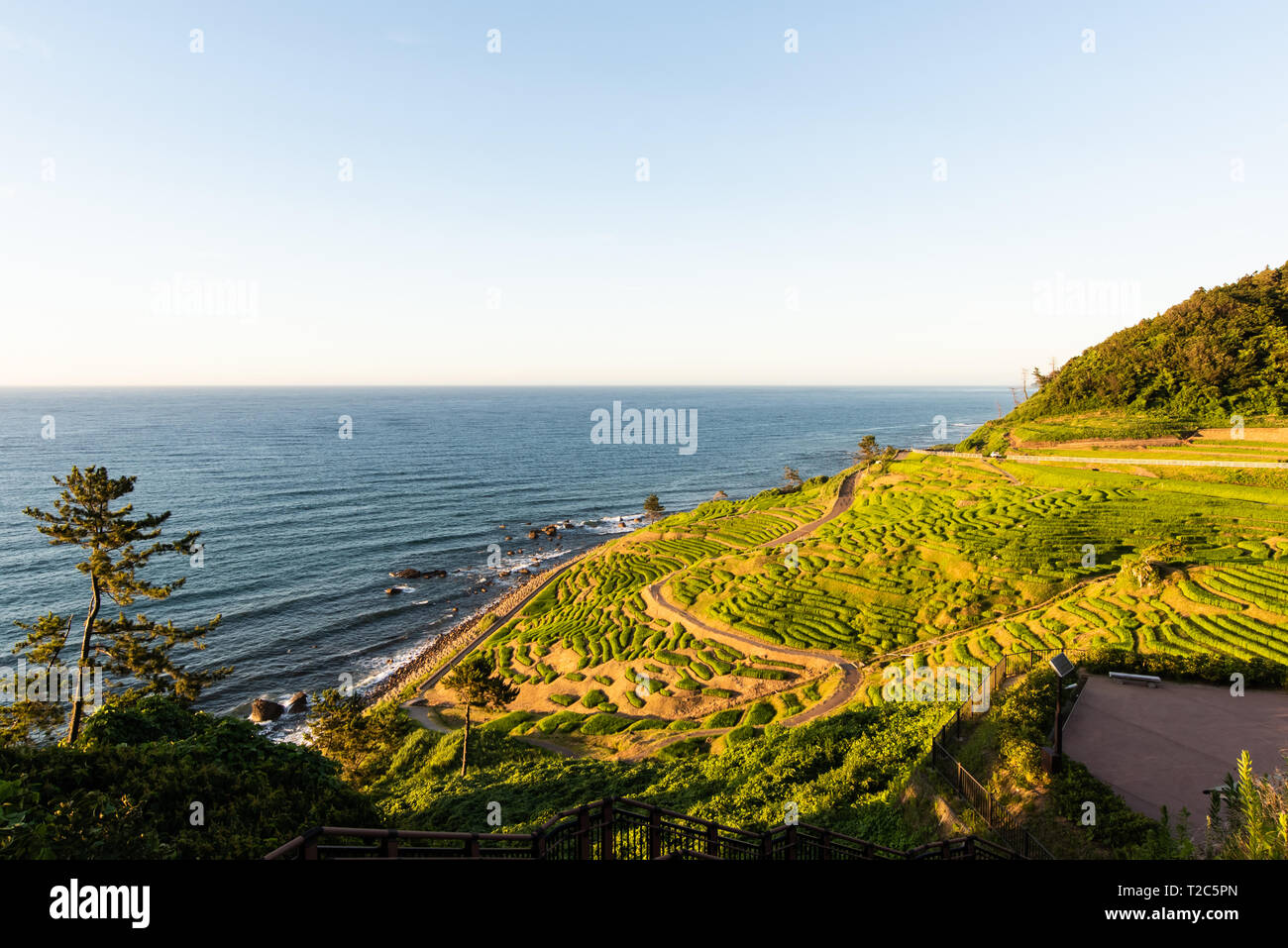 Senmaida Rice paddy terrace Wajima Ishikawa Japan Stock Photo