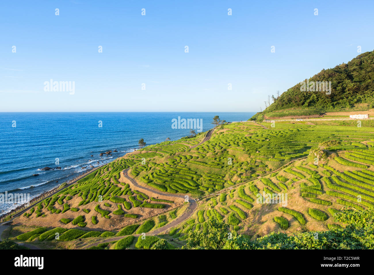 Senmaida Rice paddy terrace Wajima Ishikawa Japan Stock Photo