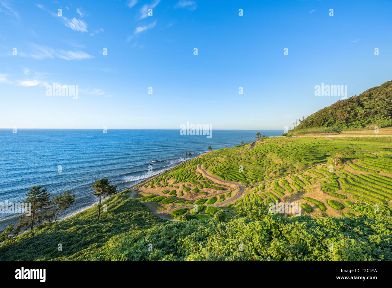 Senmaida Rice paddy terrace Wajima Ishikawa Japan Stock Photo