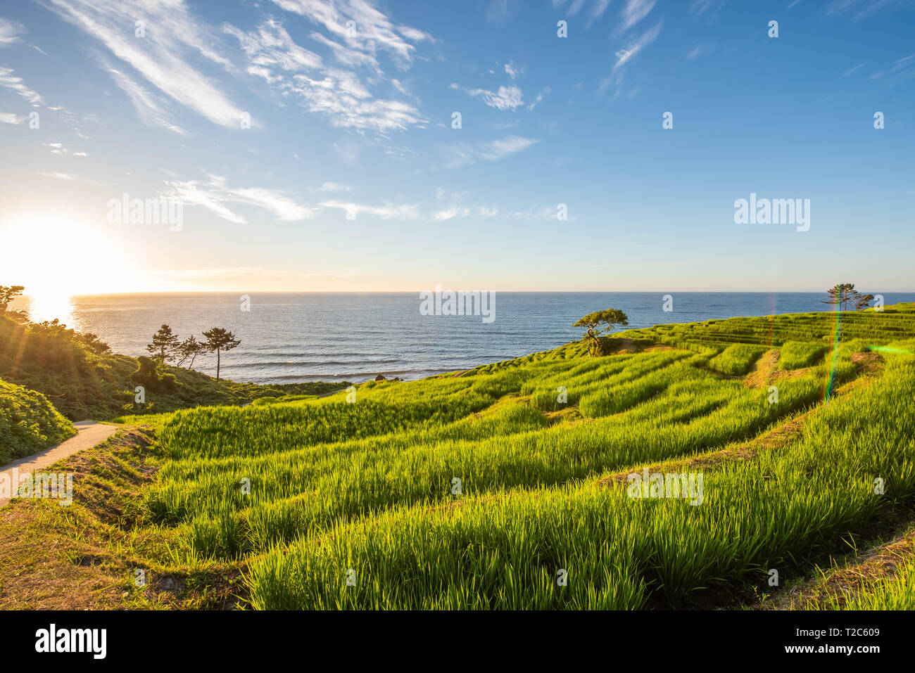 Wajima Rice Terraces Beautiful Sunset View of Senmaida Rice paddy terrace Wajima Ishikawa ...