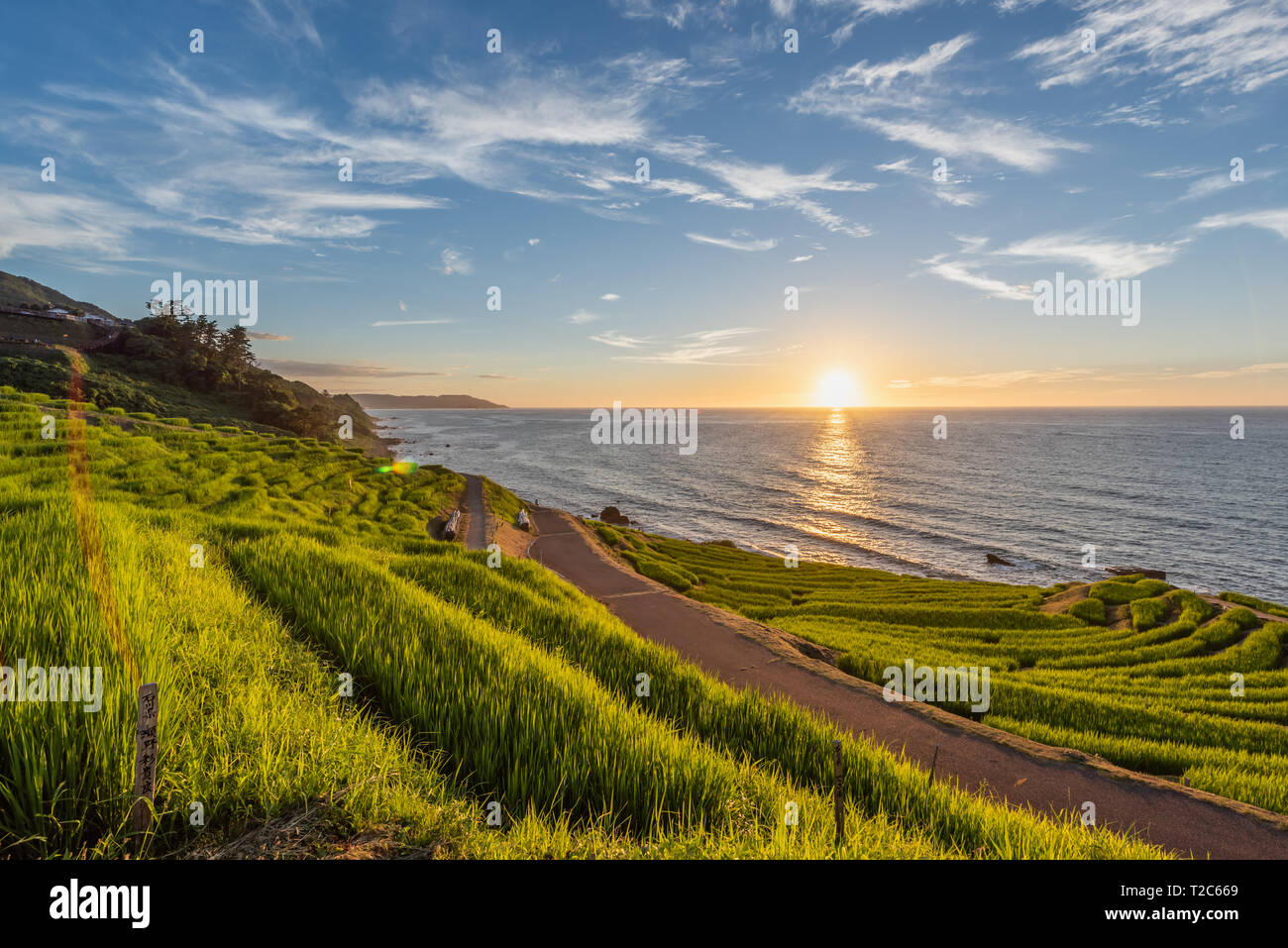 Wajima Rice Terraces Beautiful Sunset View of Senmaida Rice paddy terrace Wajima Ishikawa ...