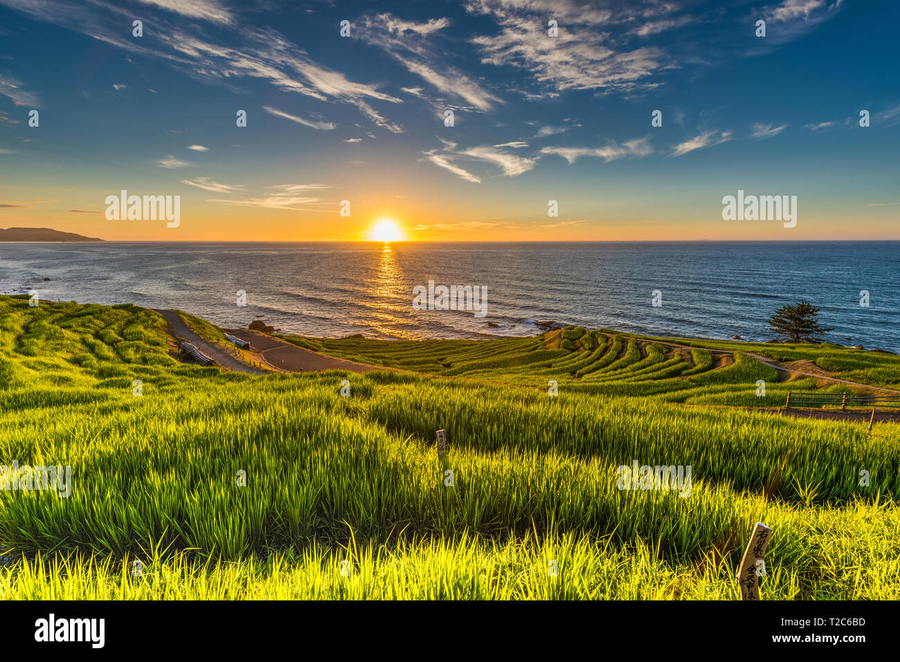 Wajima Rice Terraces Beautiful Sunset View of Senmaida Rice paddy terrace Wajima Ishikawa ...