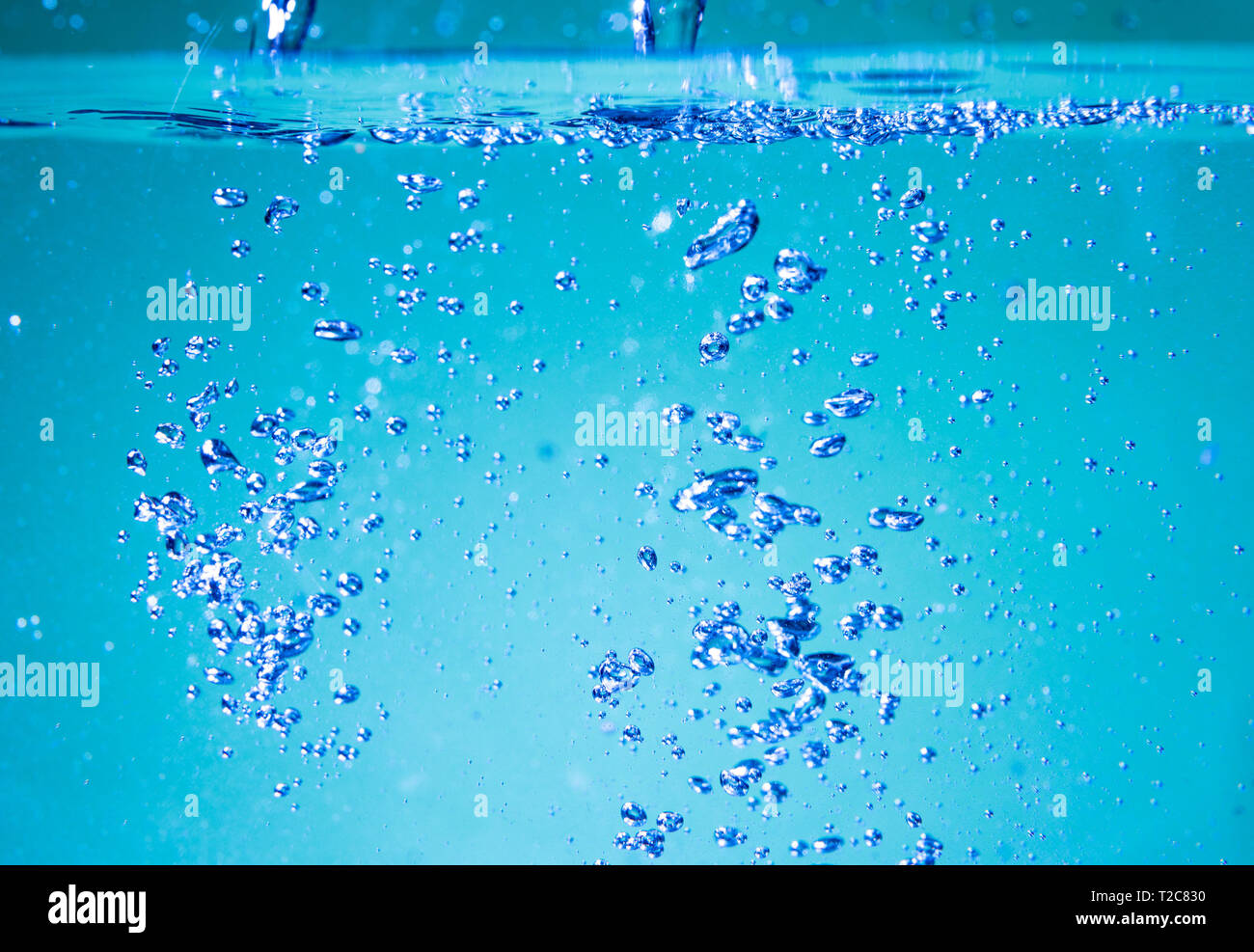 Air bubbles aquarium hires stock photography and images Alamy