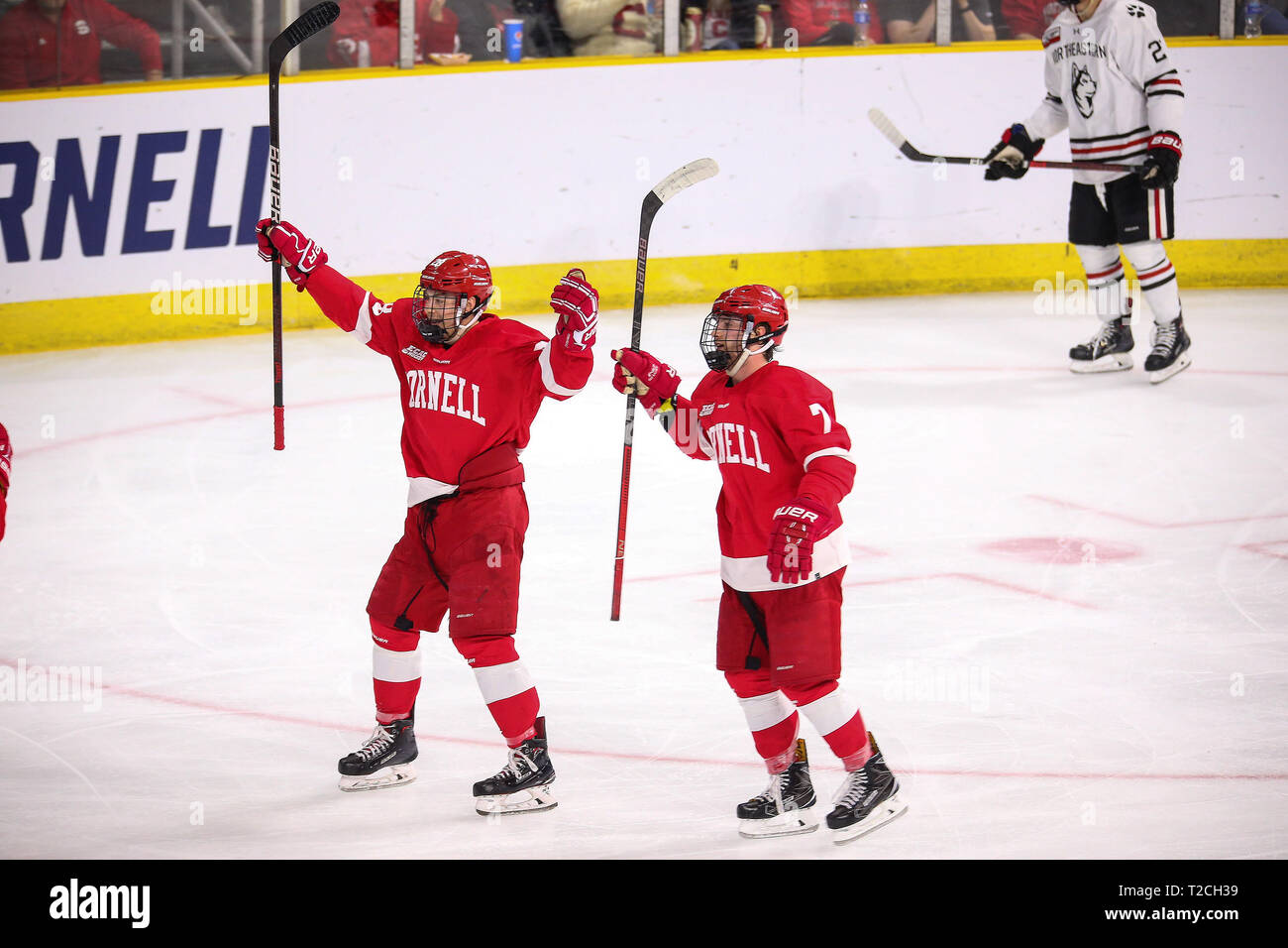 Providence, RI, USA. 30th Mar, 2019. Cornell Big Red forward Brenden Locke (28) and teammate Cam Donaldson (7) celebrate their teams goal during the NCAA East Regional hockey game between The Cornell Big Red and the Northeastern Huskies at The Dunkin Donuts Center in Providence, RI. Alan Sullivan/CSM/Alamy Live News Stock Photo