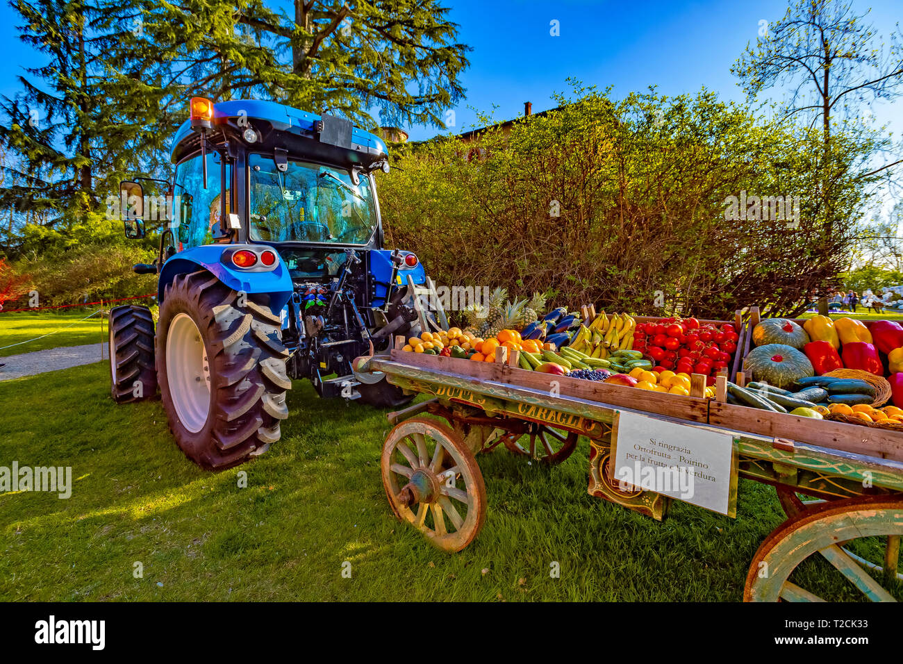 Italy Piedmont Pralormo Castle  ' messer Tulipano ' event announcing the spring dedicated to tulips - tractor with Fruit and vegetable cart Stock Photo