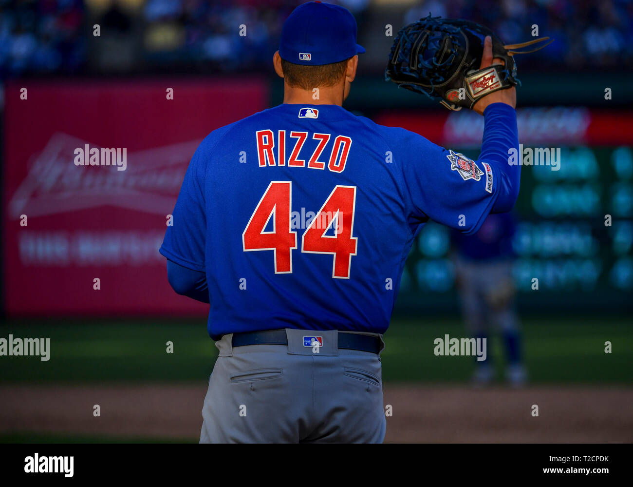 Anthony Rizzo MLB, Chicago Cubs, baseman, baseball, Anthony