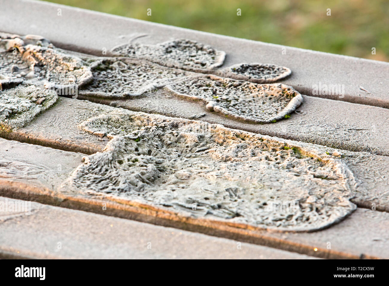 Frost On A Plastic Bench Top That Has Been Melted By Numptys