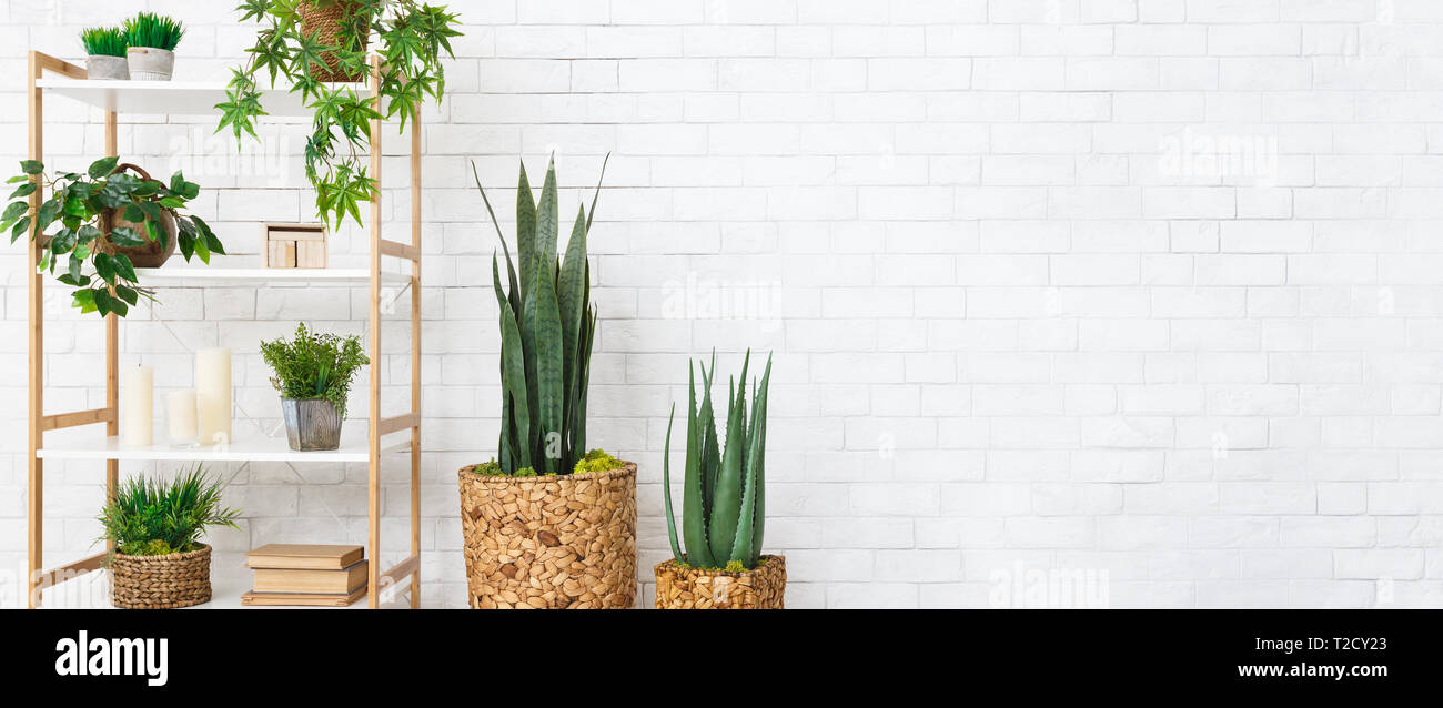 Rack With House Plants Books At White Brick Wall Background Copy Space Decorative Home Plants Concept Stock Photo Alamy
