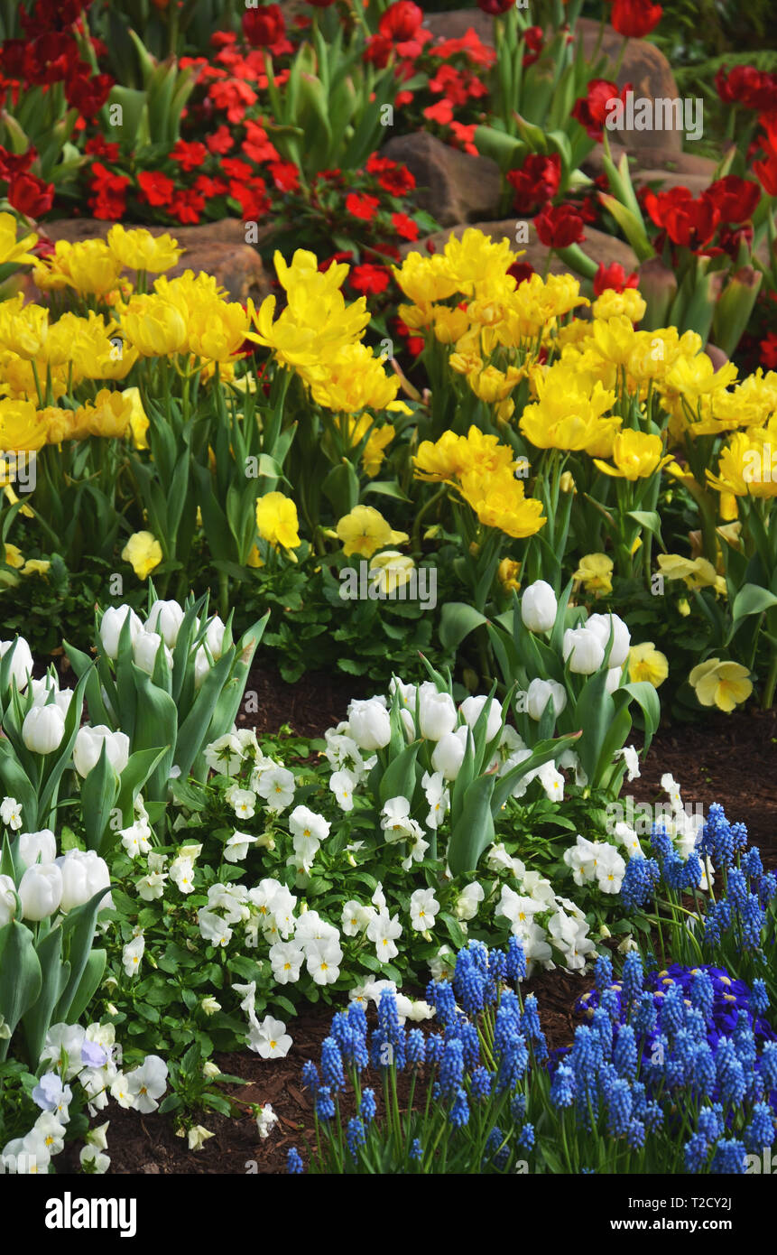 White blue yellow hi-res stock photography and images - Alamy