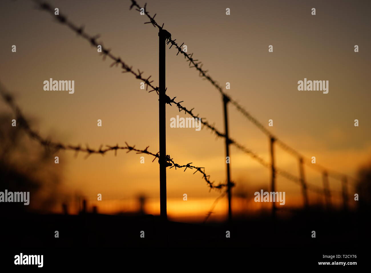 black silhouette of a barbed wire fence in orange sunset Stock Photo ...