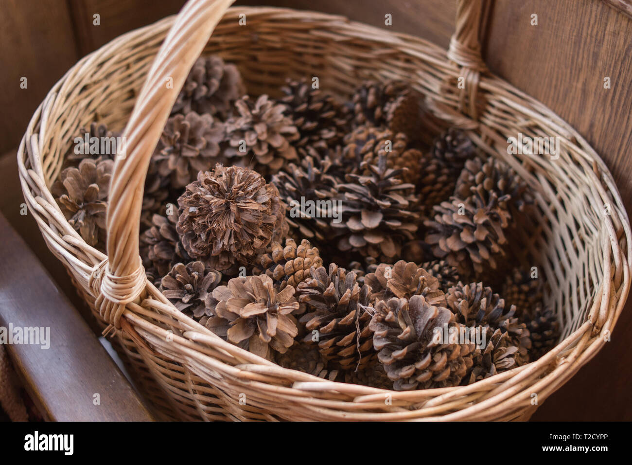 Pine cones in wicker basketplant Stock Photo