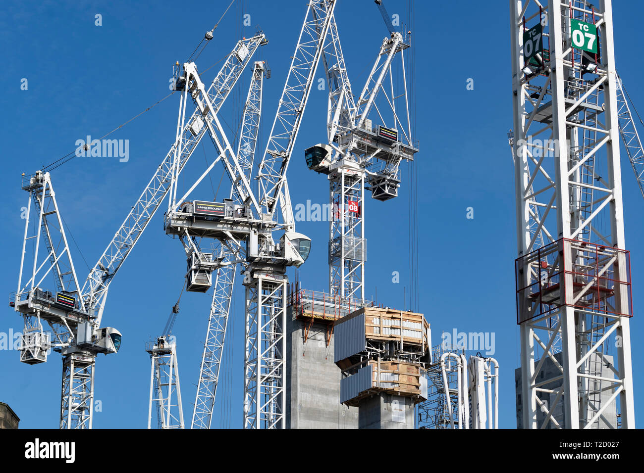 Many construction tower cranes at construction site of redevelopment of St James Centre in Edinburgh, Scotland UK Stock Photo