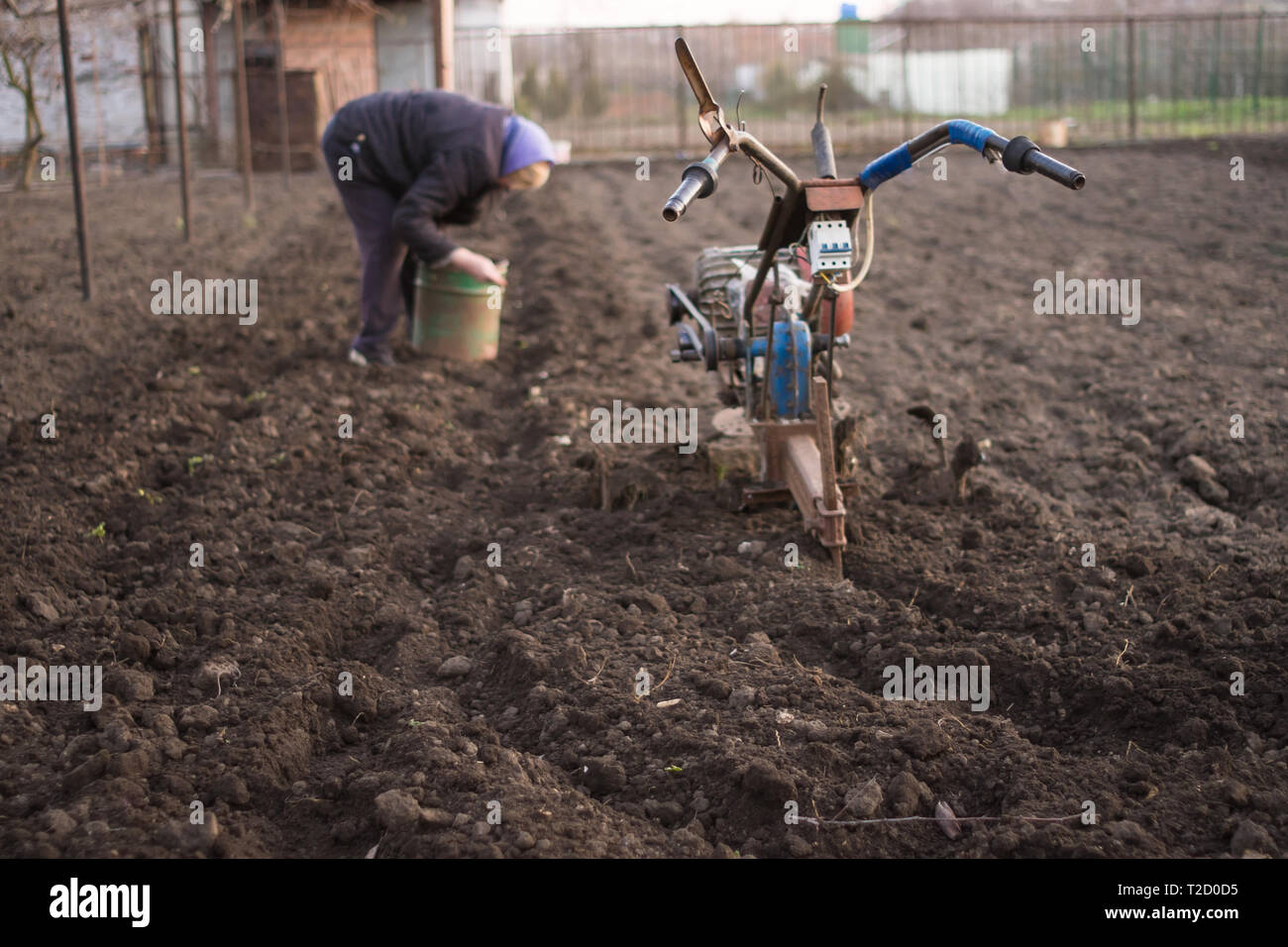 Farmer planting into the soil. Cultivator in the foreground. Stock Photo