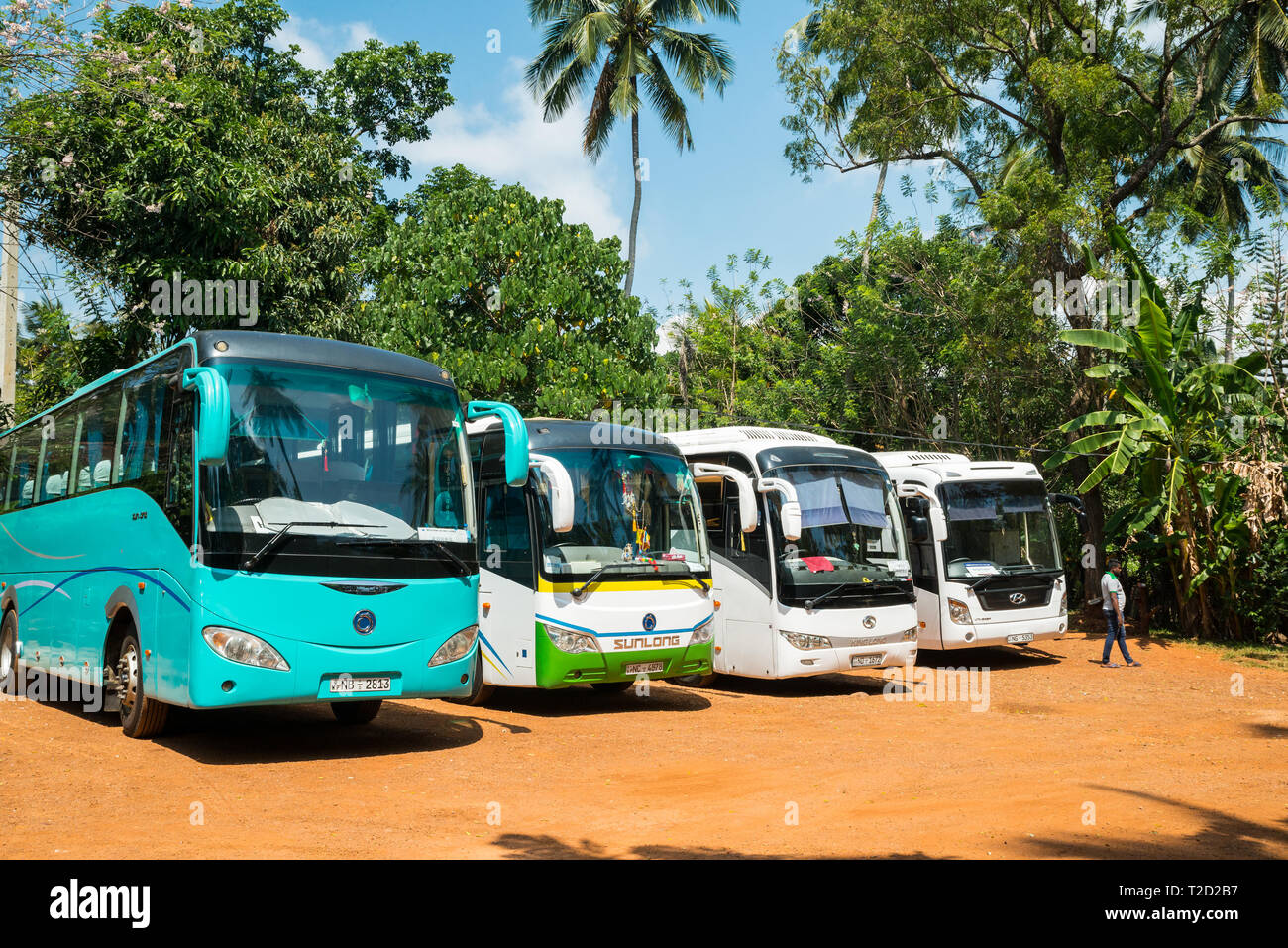 Coaches waithing for tourists in Matale, Sri Lanka Stock Photo - Alamy