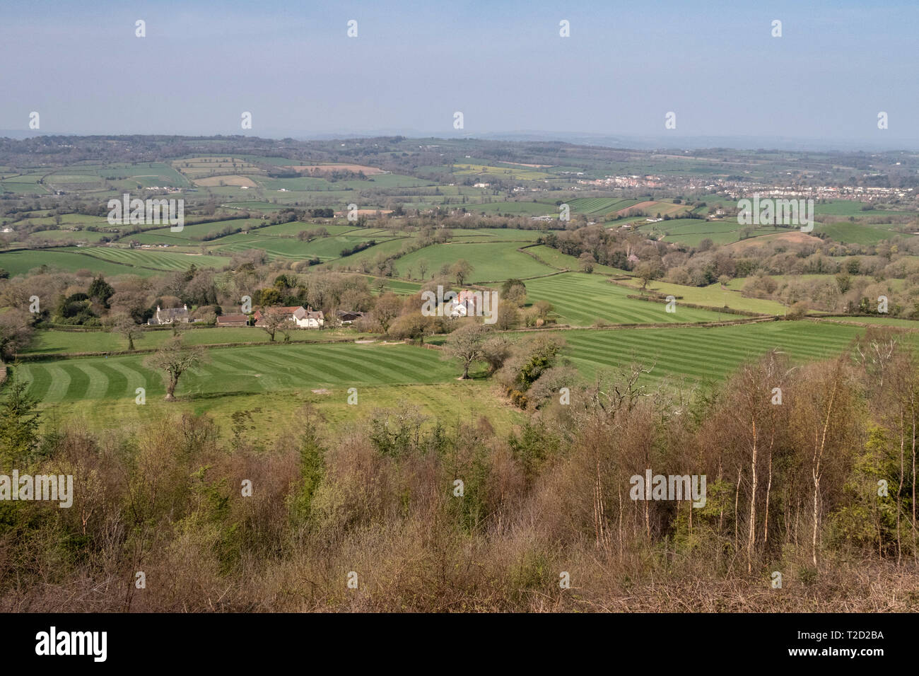 View across the Otter Valley from White Cross, where East Devon Way meets East Hill Strips, Ottery St Mary on the right Stock Photo