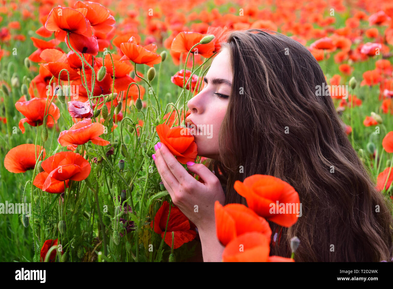 beautiful girl in the red poppy field Stock Photo - Alamy