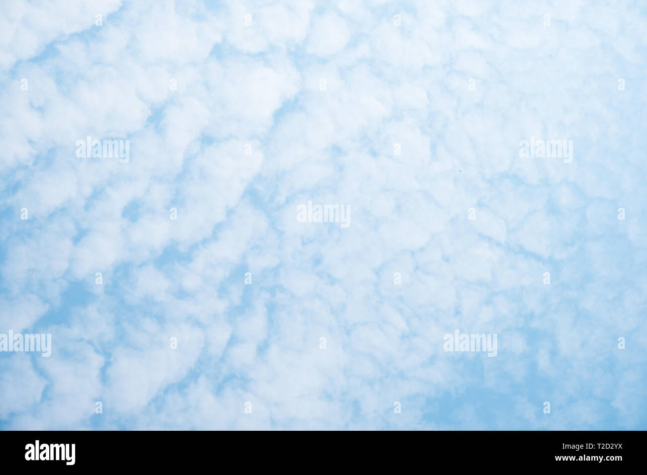 Blue sky background with white clouds during a sunny day Stock Photo ...