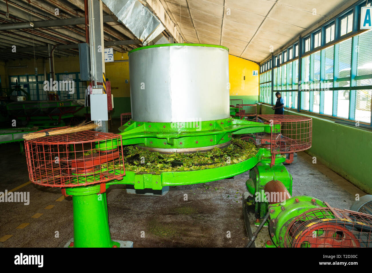 Blue field tea estate sri lanka hi-res stock photography and images - Alamy