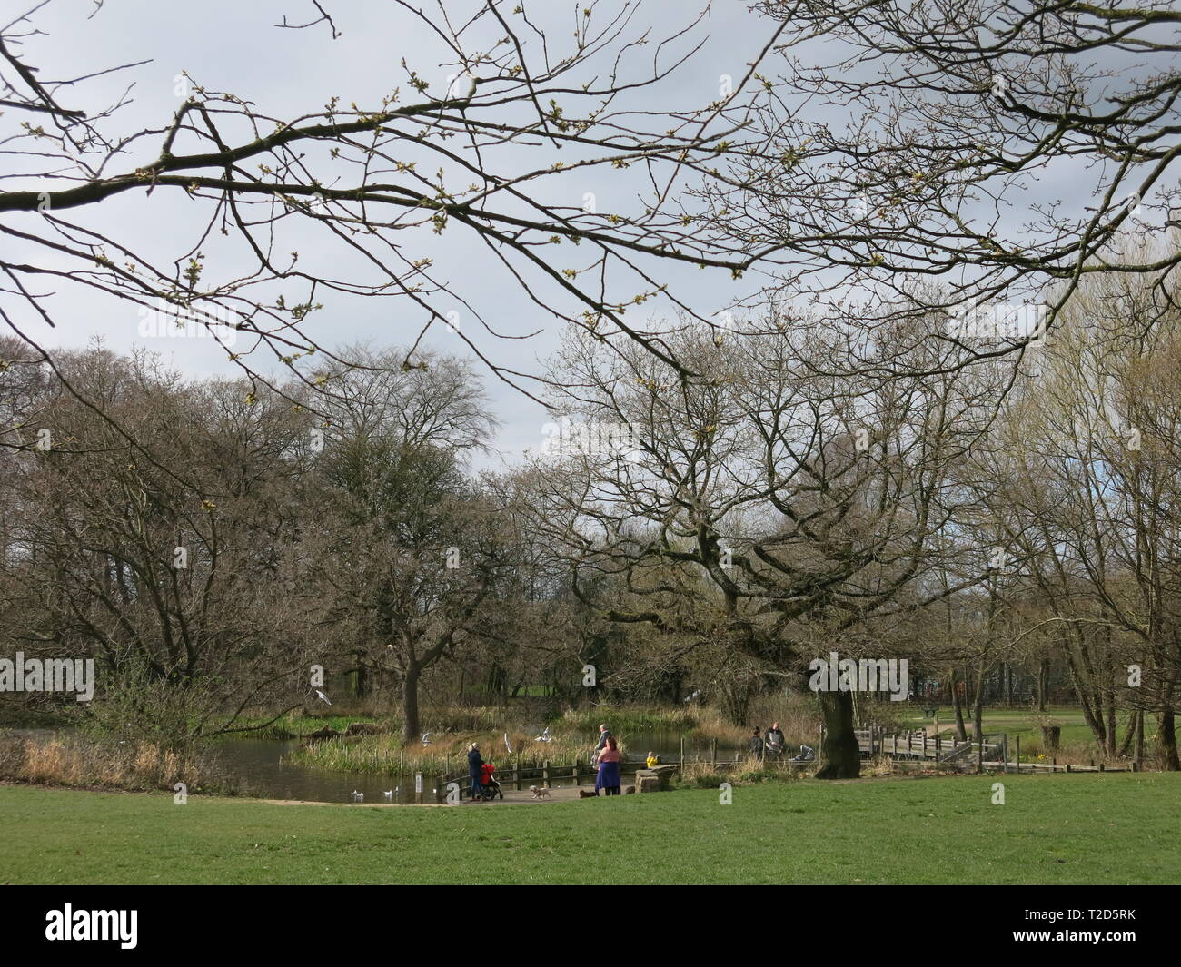 View of Worden Park on a sunny day in spring time; wide open space to ...