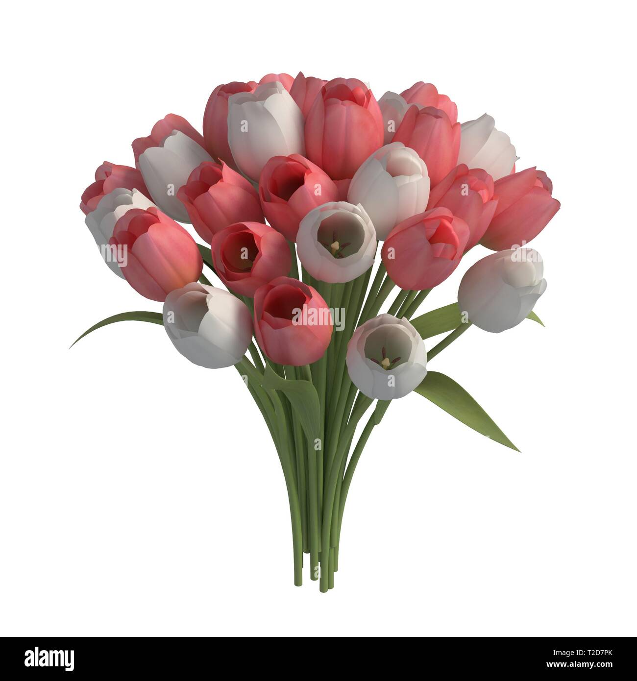 Flowers isolated on the white background 3d illustration Stock Photo ...