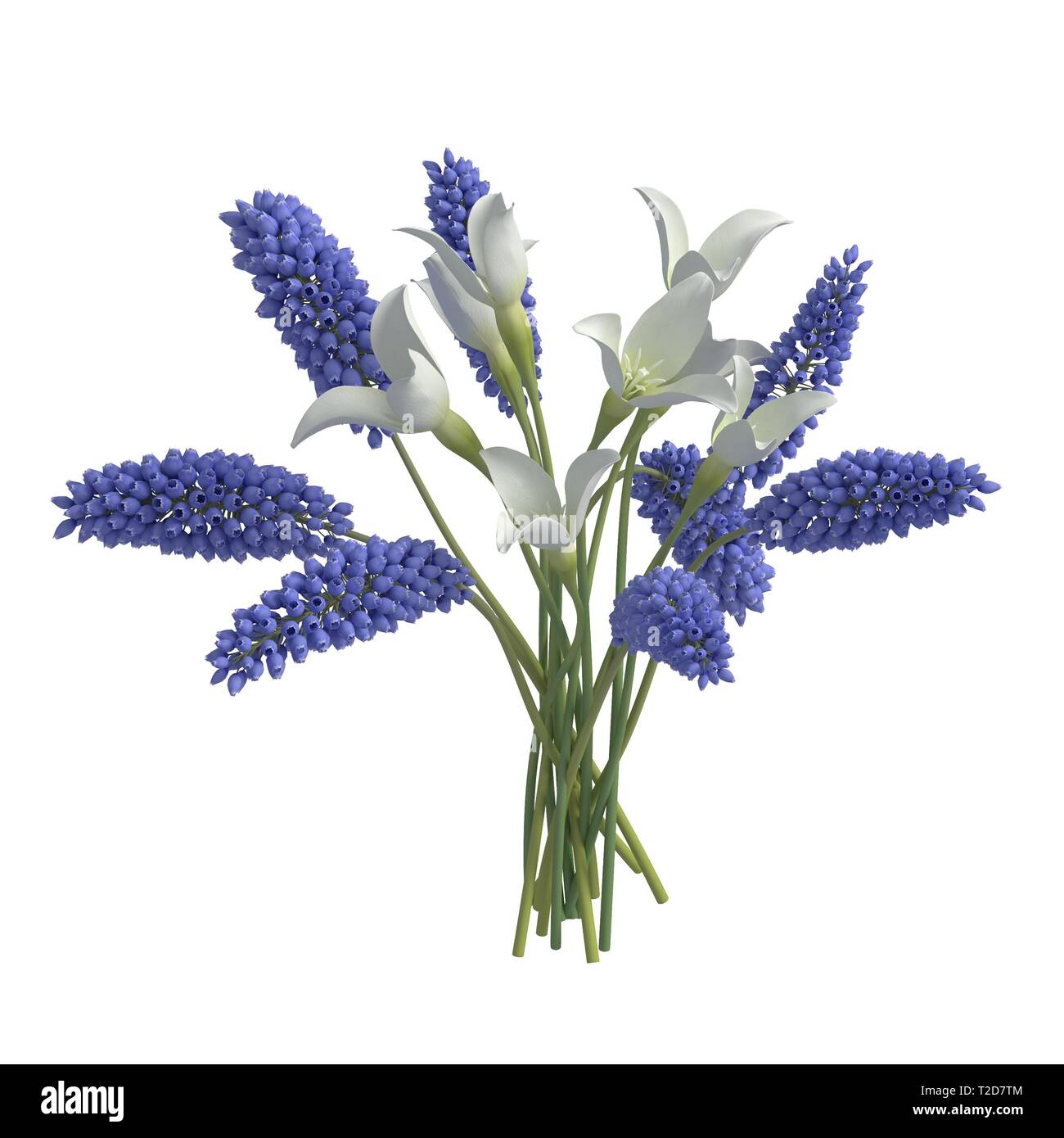 Flowers isolated on the white background 3d illustration Stock Photo ...