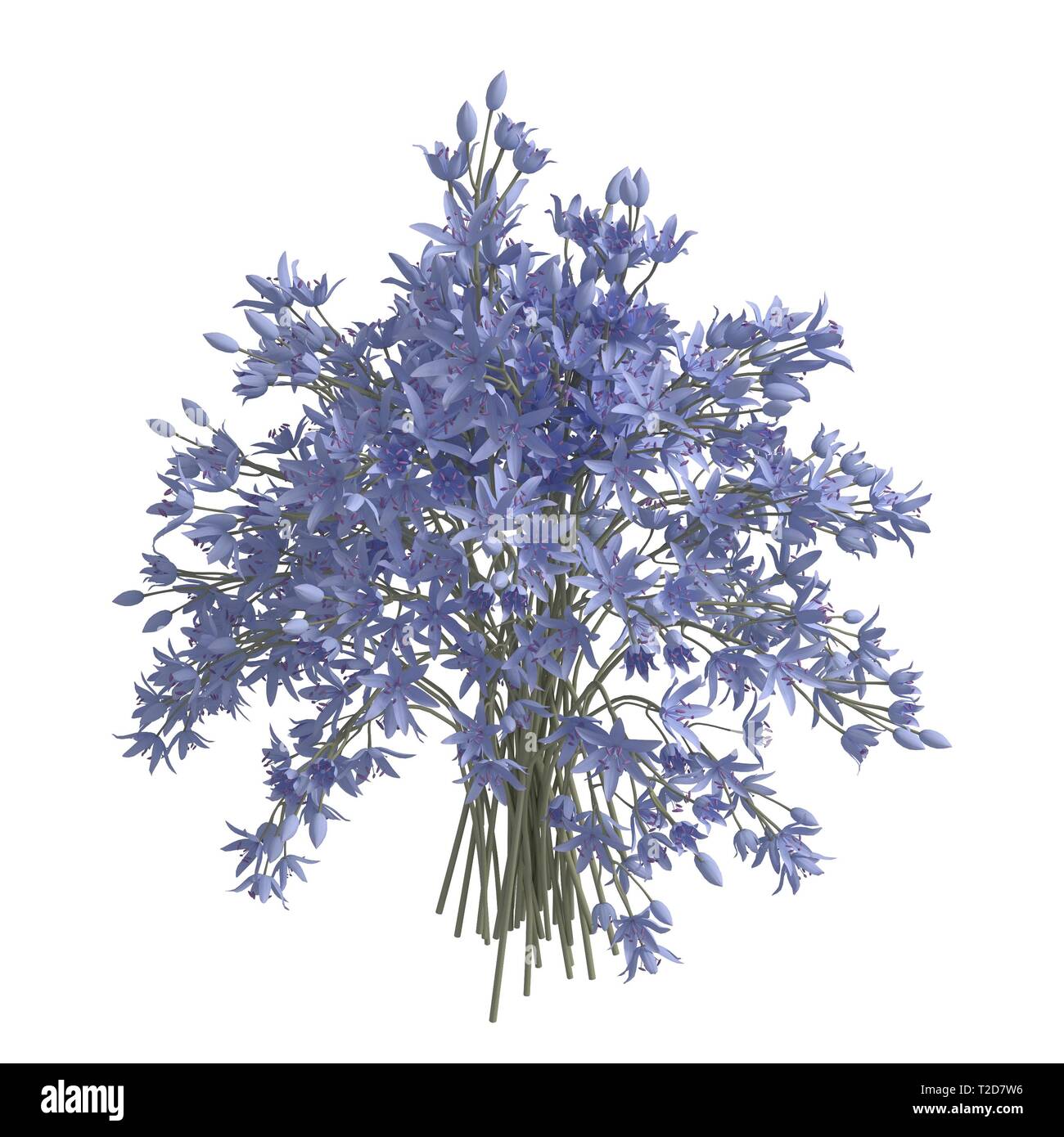Flowers isolated on the white background 3d illustration Stock Photo ...
