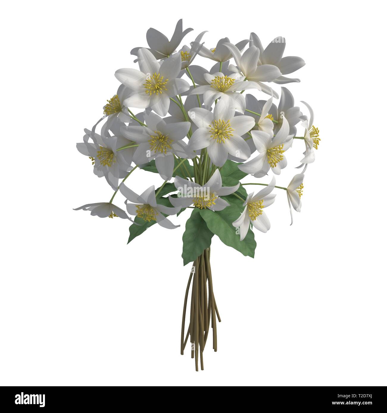 Flowers isolated on the white background 3d illustration Stock Photo ...
