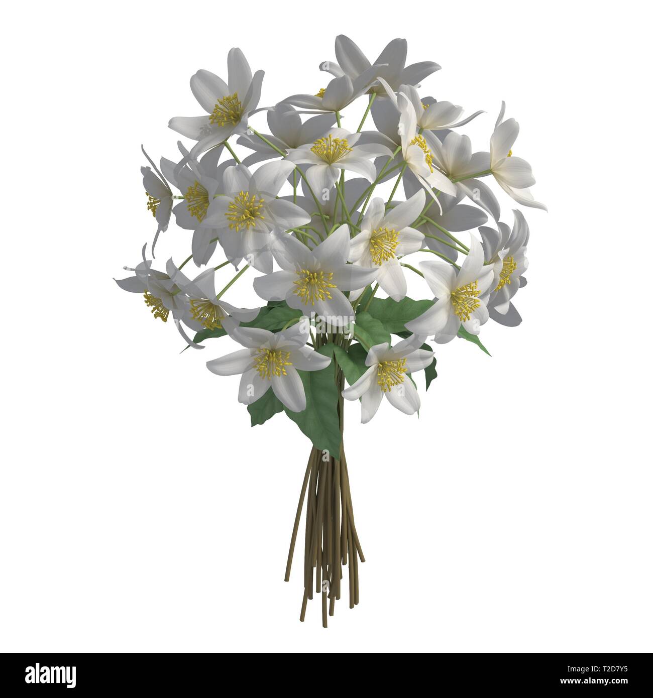 Flowers isolated on the white background 3d illustration Stock Photo ...